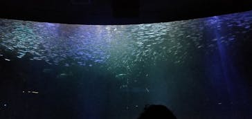 名古屋港水族館に投稿された画像（2022/8/8）