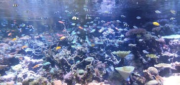 名古屋港水族館に投稿された画像（2022/8/8）