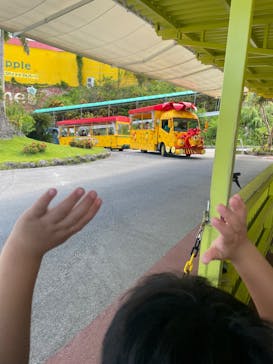 ナゴパイナップルパークに投稿された画像（2022/8/8）