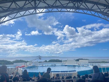 沖縄美ら海水族館に投稿された画像（2022/8/8）