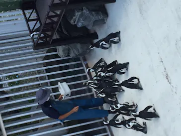 横浜・八景島シーパラダイスに投稿された画像（2022/8/8）