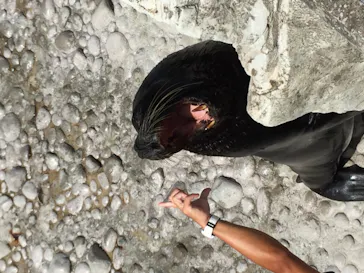 横浜・八景島シーパラダイスに投稿された画像（2022/8/8）