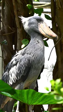 神戸どうぶつ王国に投稿された画像（2022/8/8）