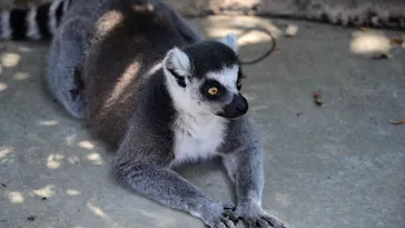 神戸どうぶつ王国に投稿された画像（2022/8/8）