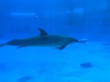 名古屋港水族館に投稿された画像（2022/8/8）