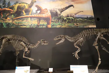 ひらかたパークに投稿された画像（2022/8/8）