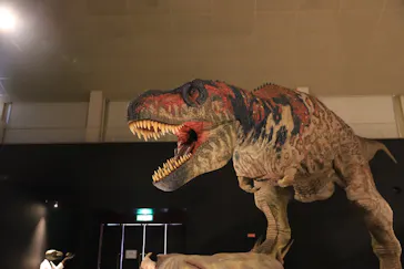 ひらかたパークに投稿された画像（2022/8/8）