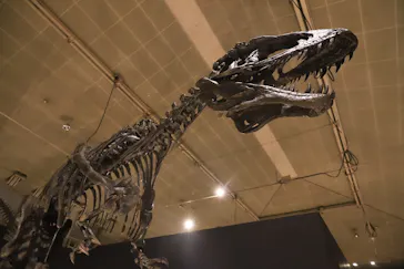 ひらかたパークに投稿された画像（2022/8/8）