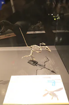 ひらかたパークに投稿された画像（2022/8/8）