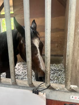 ノーザンホースパークに投稿された画像（2022/8/8）