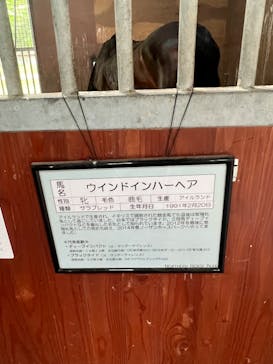 ノーザンホースパークに投稿された画像（2022/8/8）