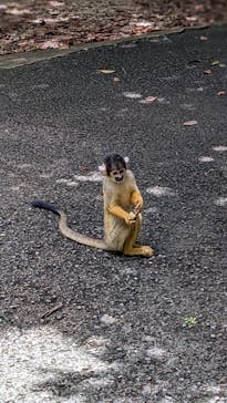 石垣やいま村に投稿された画像（2022/8/9）