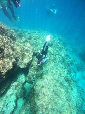 沖縄マリンサービス碧に投稿された画像（2022/8/9）