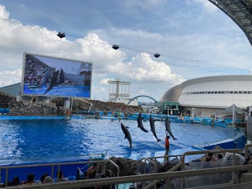 名古屋港水族館に投稿された画像（2022/8/9）