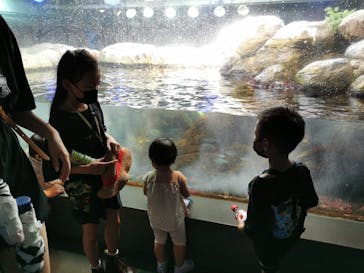 新江ノ島水族館に投稿された画像（2022/8/9）