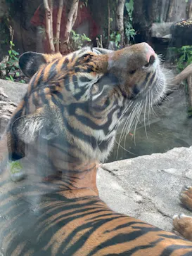 神戸どうぶつ王国に投稿された画像（2022/8/9）