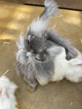 神戸どうぶつ王国に投稿された画像（2022/8/9）