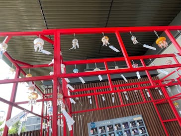 京都水族館に投稿された画像（2022/8/9）