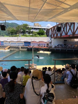 伊豆・三津シーパラダイスに投稿された画像（2022/8/9）