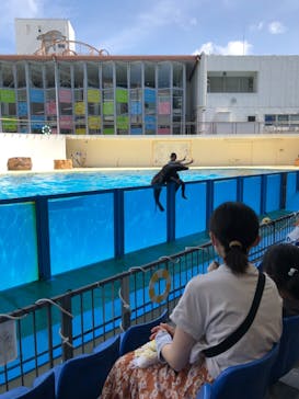 伊豆・三津シーパラダイスに投稿された画像（2022/8/9）