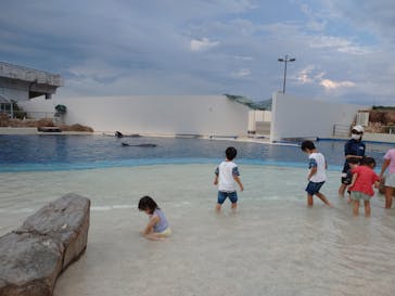 大分マリーンパレス水族館 「うみたまご」に投稿された画像（2022/8/9）