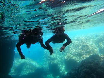 沖縄マリンサービス碧に投稿された画像（2022/8/9）