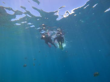 沖縄マリンサービス碧に投稿された画像（2022/8/9）