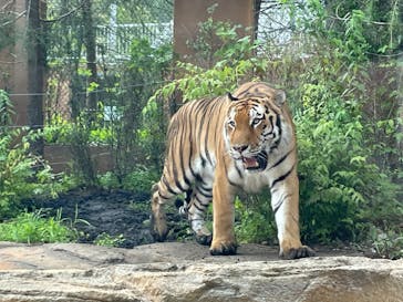那須どうぶつ王国に投稿された画像（2022/8/9）