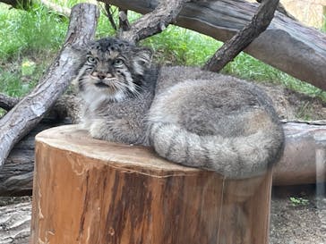 那須どうぶつ王国に投稿された画像（2022/8/9）