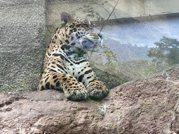 那須どうぶつ王国に投稿された画像（2022/8/9）