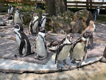 那須どうぶつ王国に投稿された画像（2022/8/9）