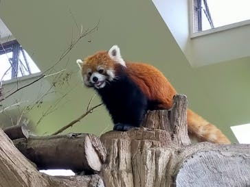 那須どうぶつ王国に投稿された画像（2022/8/9）