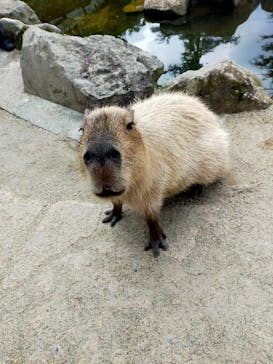 那須どうぶつ王国に投稿された画像（2022/8/9）