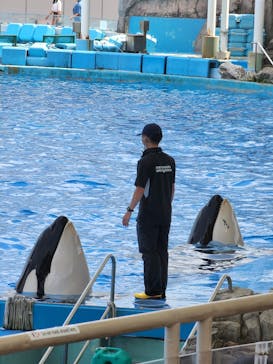 名古屋港水族館に投稿された画像（2022/8/9）