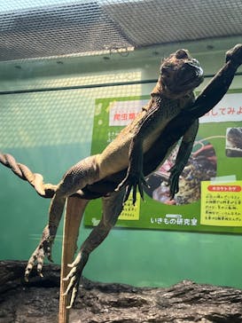 サンシャイン水族館に投稿された画像（2022/8/9）