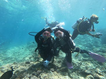 武藤潜水に投稿された画像（2022/8/9）