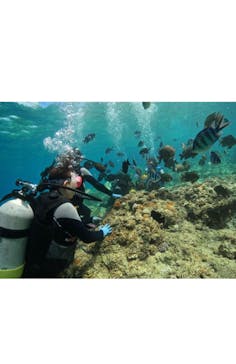 武藤潜水に投稿された画像（2022/8/9）