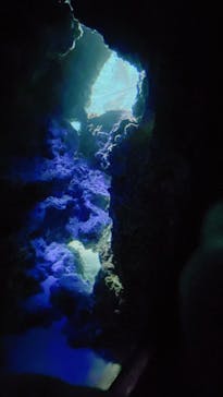 サンシャイン水族館に投稿された画像（2022/8/9）