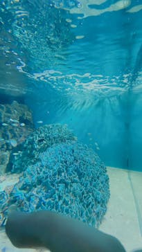 サンシャイン水族館に投稿された画像（2022/8/9）