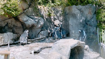 サンシャイン水族館に投稿された画像（2022/8/9）