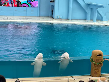 横浜・八景島シーパラダイスに投稿された画像（2022/8/9）