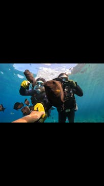 DIVING-SHOP SUNSに投稿された画像（2022/8/9）