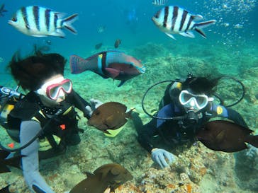 沖縄マリンサービス碧に投稿された画像（2022/8/9）