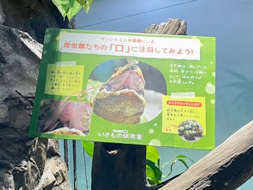 サンシャイン水族館に投稿された画像（2022/8/9）