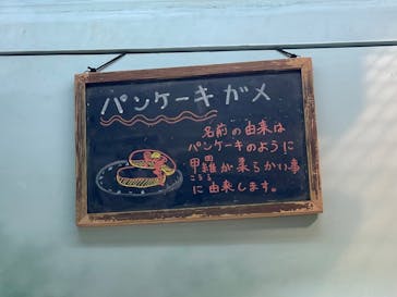 サンシャイン水族館に投稿された画像（2022/8/9）