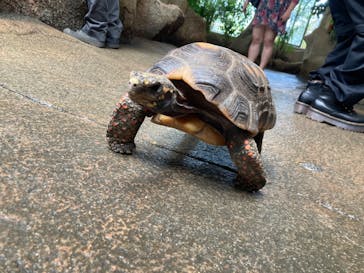 那須どうぶつ王国に投稿された画像（2022/8/9）