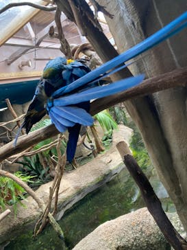 那須どうぶつ王国に投稿された画像（2022/8/9）