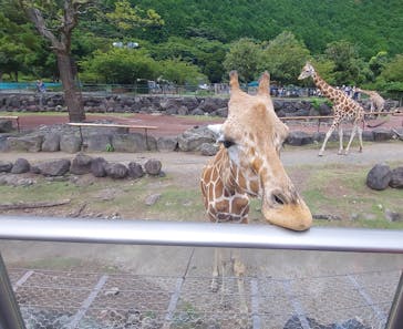 伊豆アニマルキングダムに投稿された画像（2022/8/9）