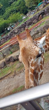 伊豆アニマルキングダムに投稿された画像（2022/8/9）