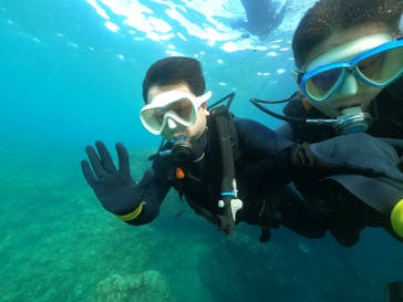 DIVING-SHOP SUNSに投稿された画像（2022/8/9）